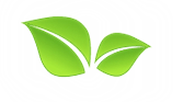 Förderverein Landesgartenschau Burg e.V.