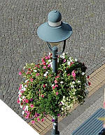 Blumenampel