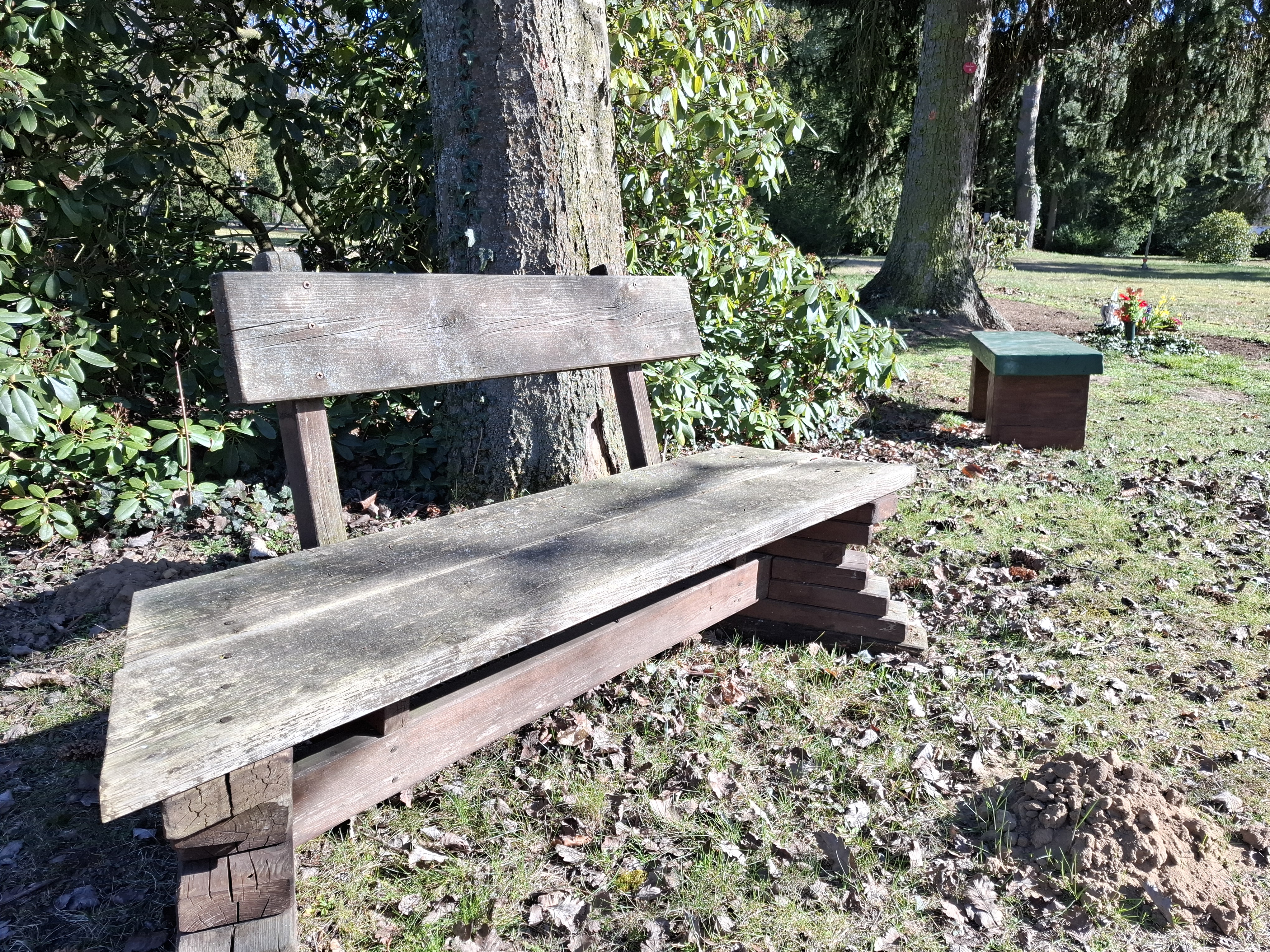 Die alten Bänke sind teilweise spröde oder morsch