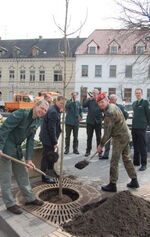 v.l.n.r Forstdirektor Rainer Aumann vom Bundesforstbetrieb Nördliches Sachsen-Anhalt, Bürgermeister Jörg Rehbaum und Major Kai Rüdiger vom Logistikbataillon 171